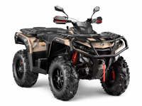 Квадроцикл AODES Pathcross ATV1000S PRO EPS 2025